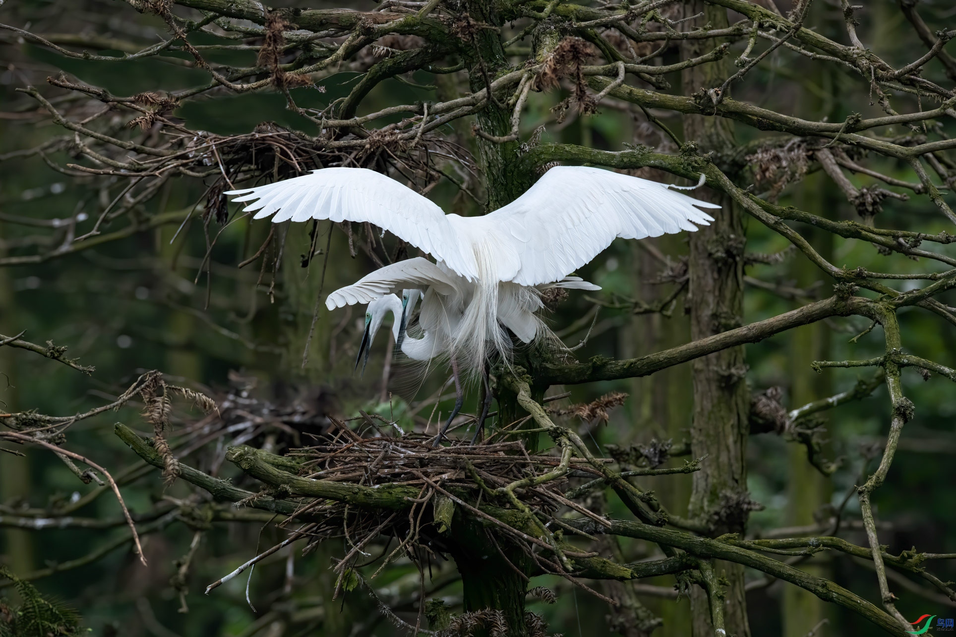 DSC_7678-1.jpg