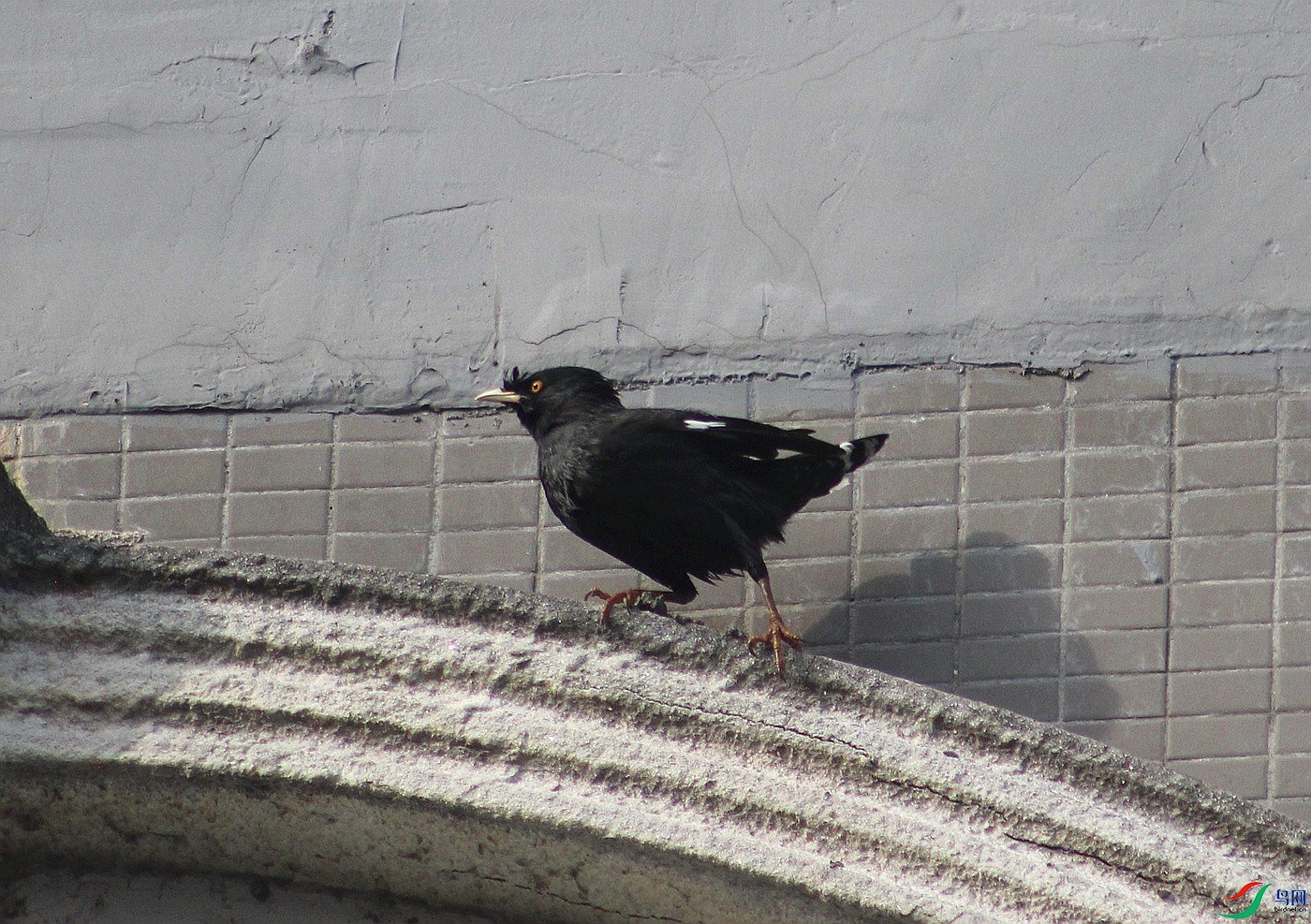 IMG_0083.jpg