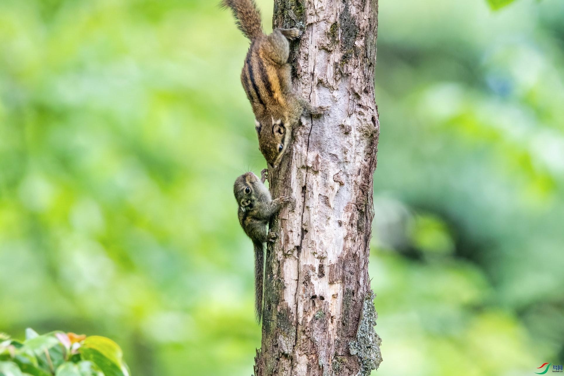 DSC_4749-1.jpg