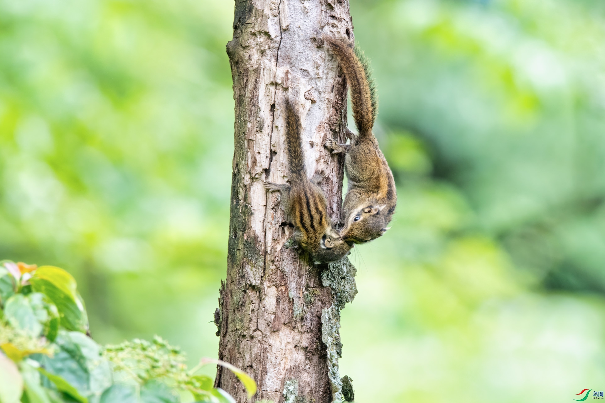 DSC_4763-1.jpg