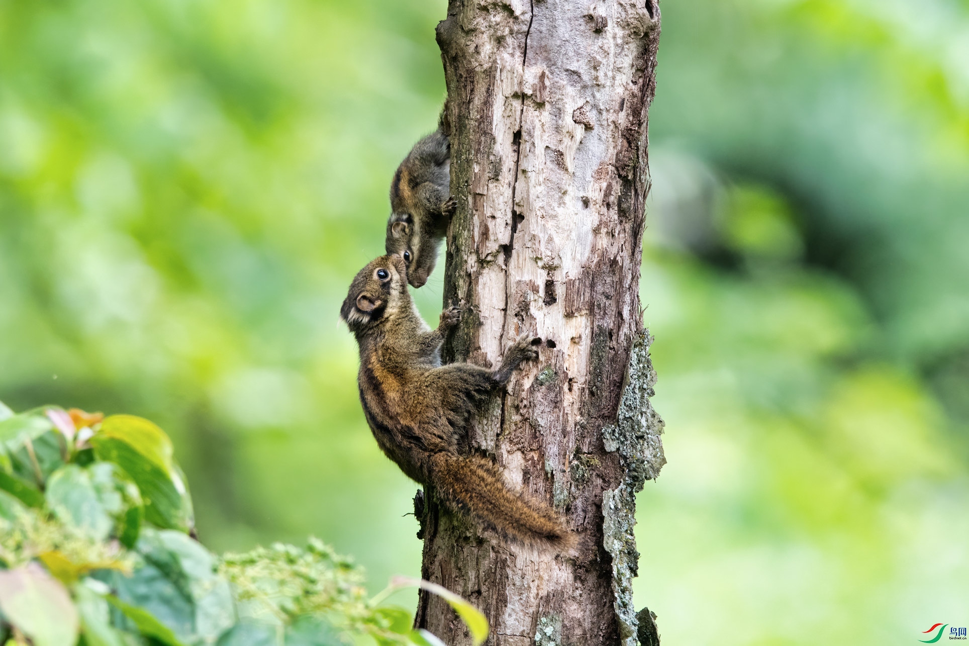 DSC_4745-1.jpg