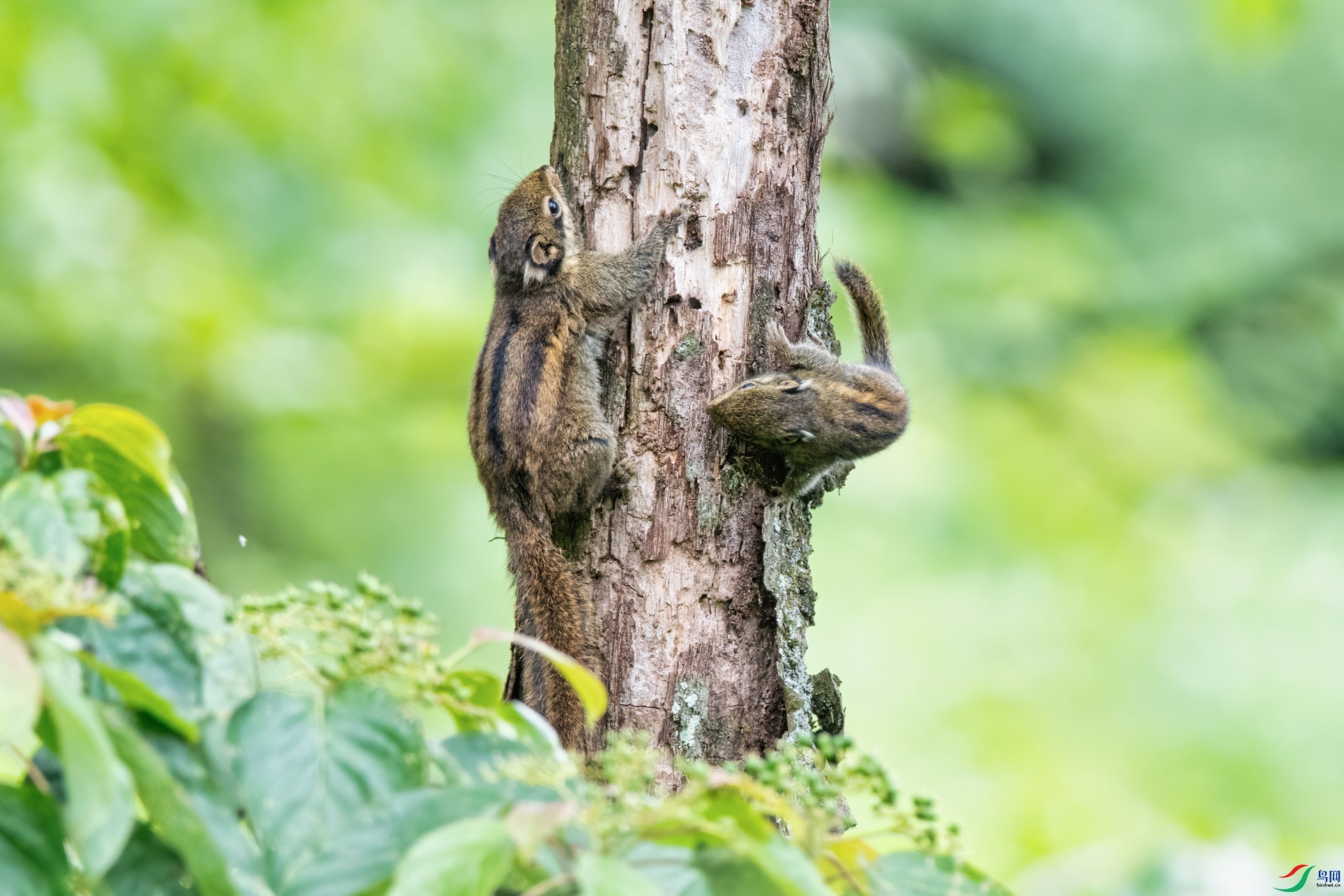 DSC_4765-1.jpg
