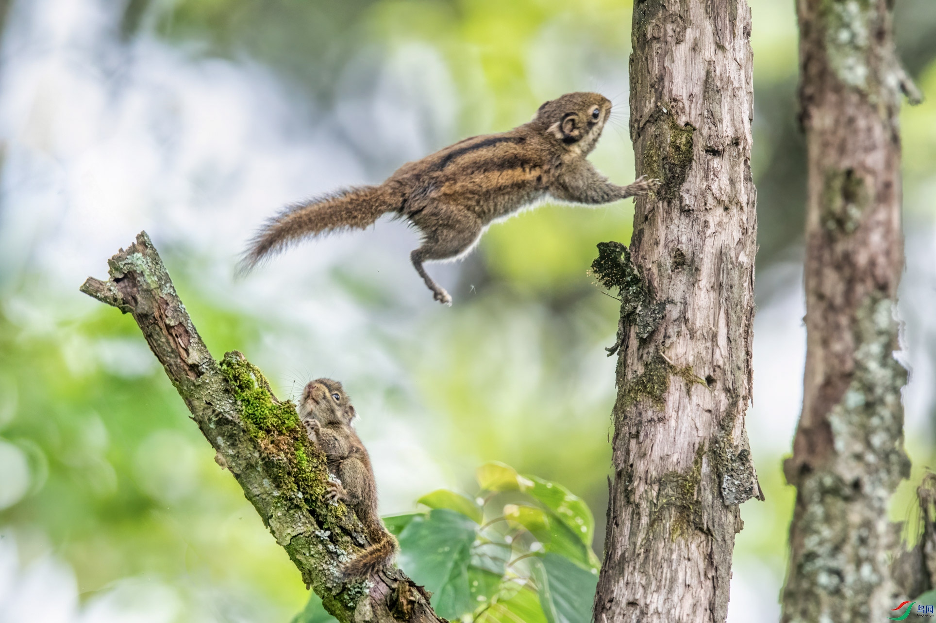 DSC_4768-1.jpg