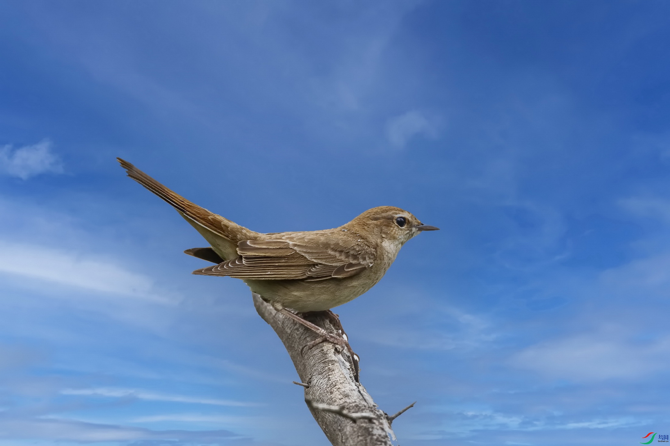 �½���� ����-3.jpg