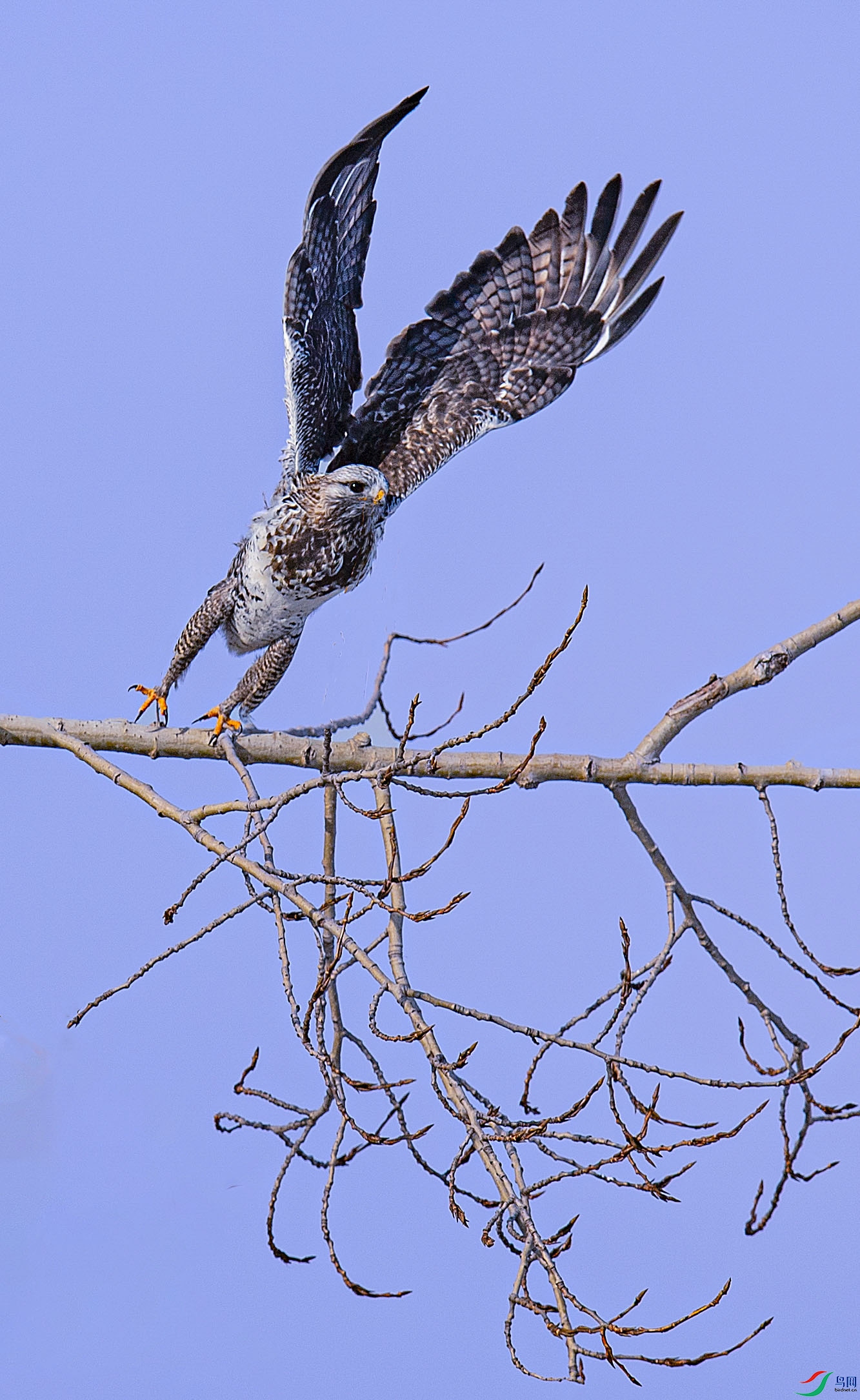 DSC_7210.xxxx.jpg