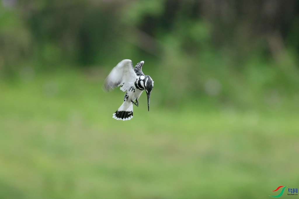 367A3752 (2)_����.jpg