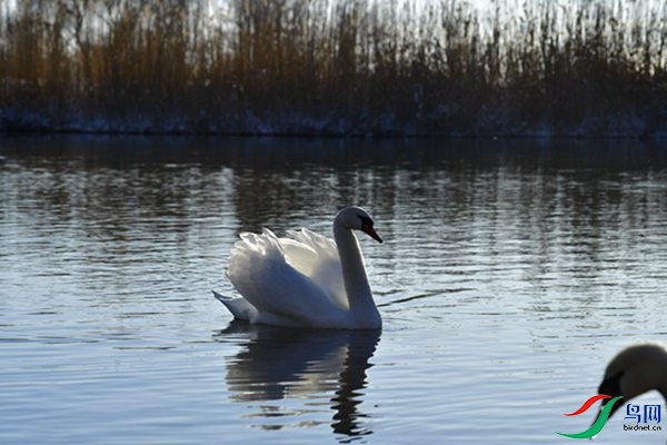 File0000079327.jpg