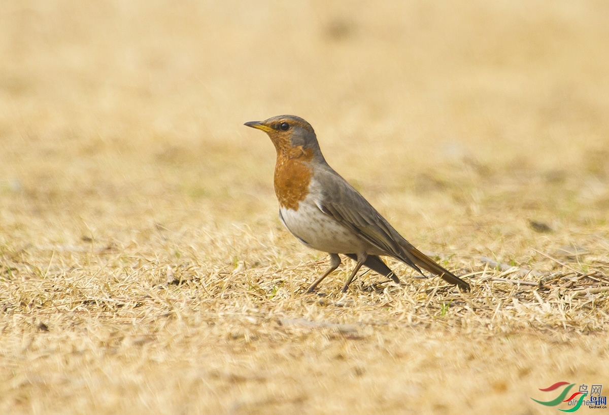 ��Ȼ�п�  ��ʦ�����ڱ����к�����.jpg