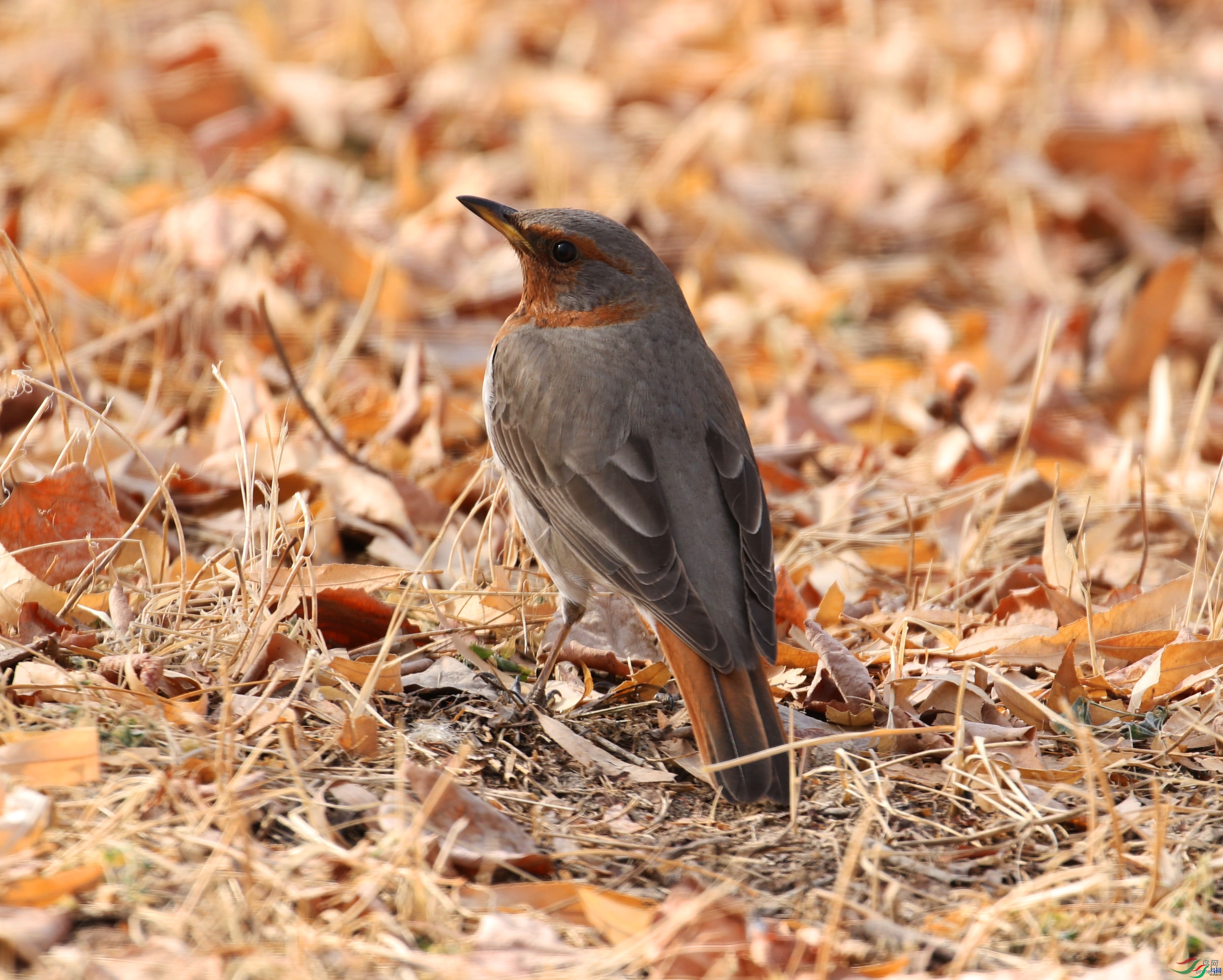 380812307  ��ʦ�����ڸ���ʡ��Ȫ��.jpg