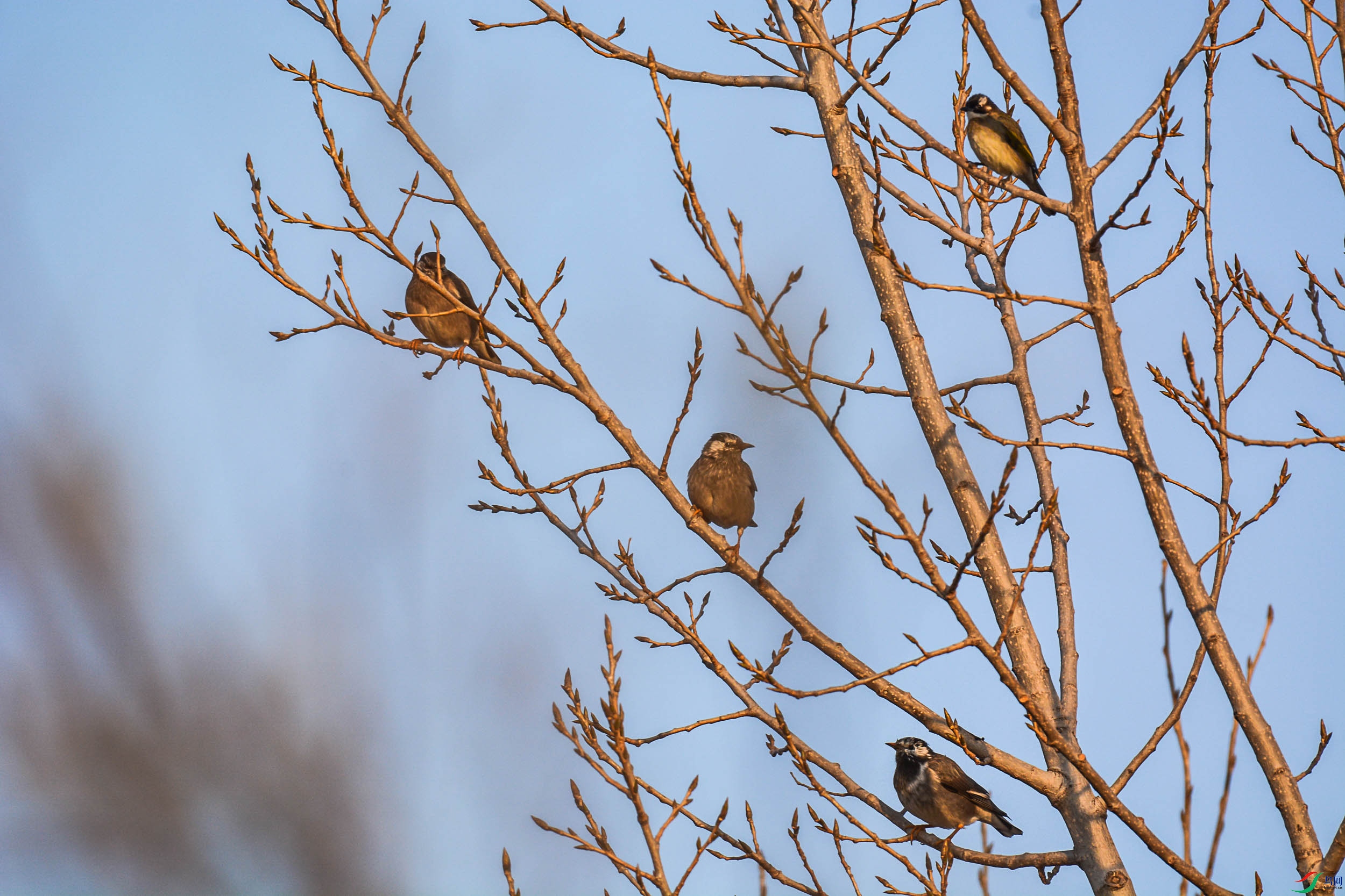 DSC_7437.jpg