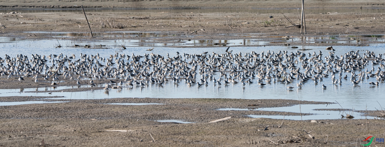 DSC_9846.jpg