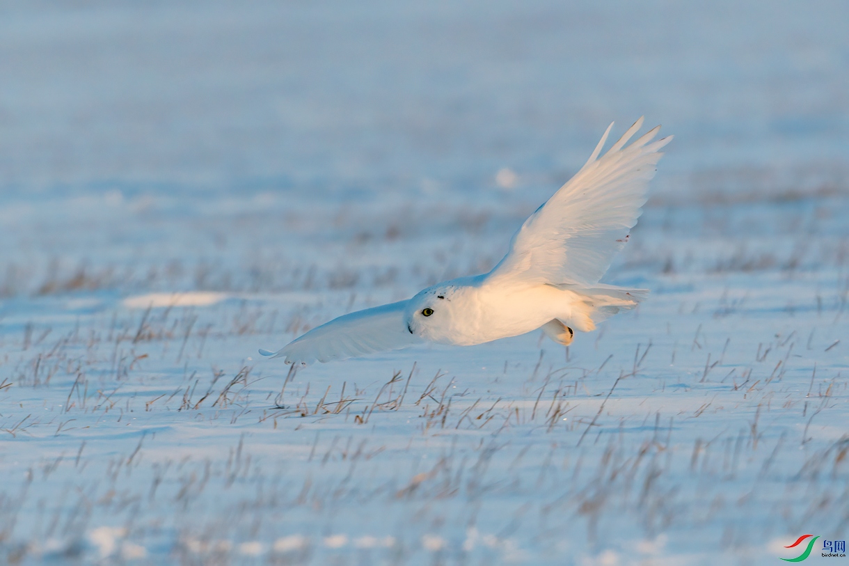_DSC7411--�ᶨ����.jpg