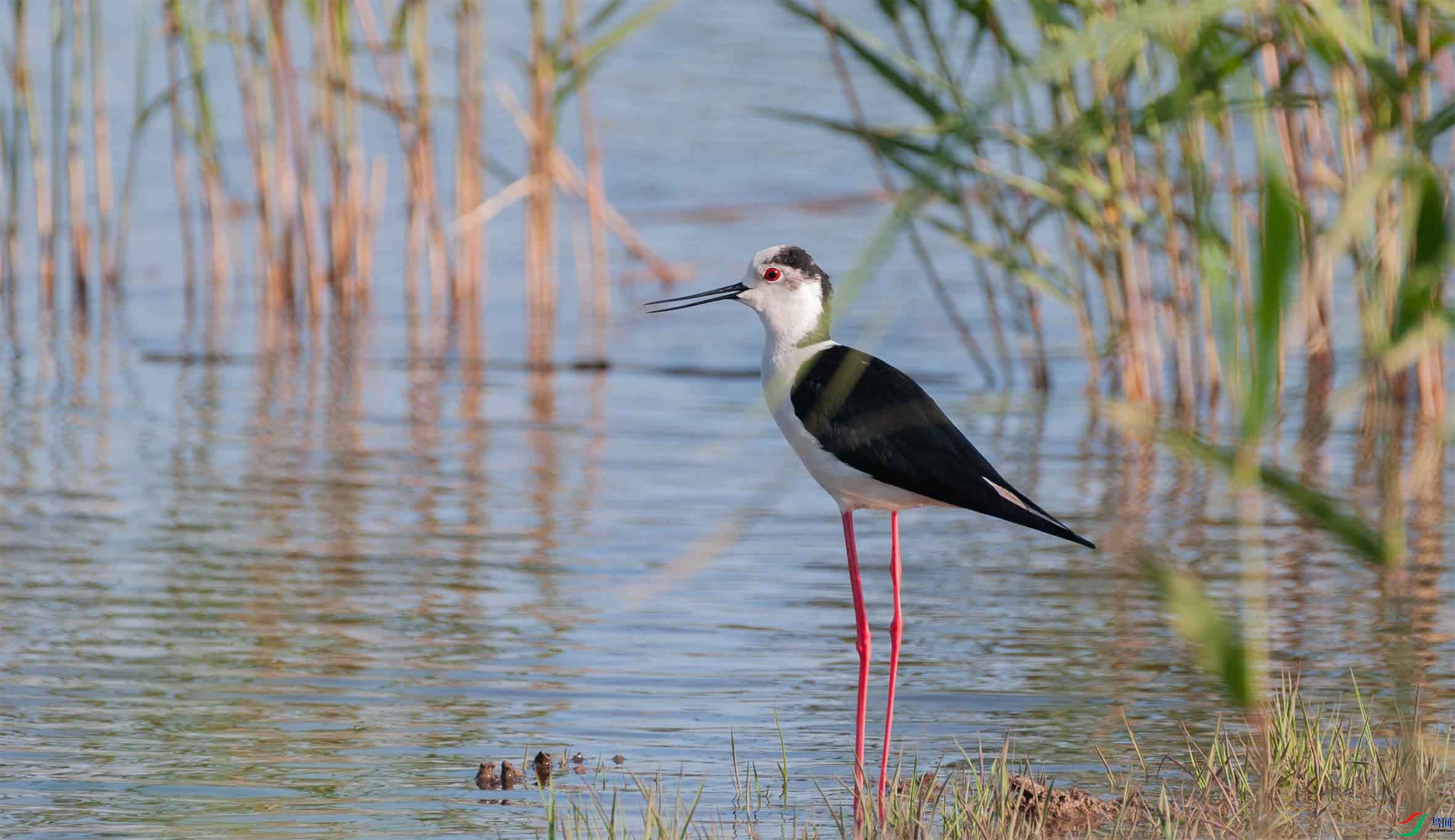 DSC_3671-3.jpg