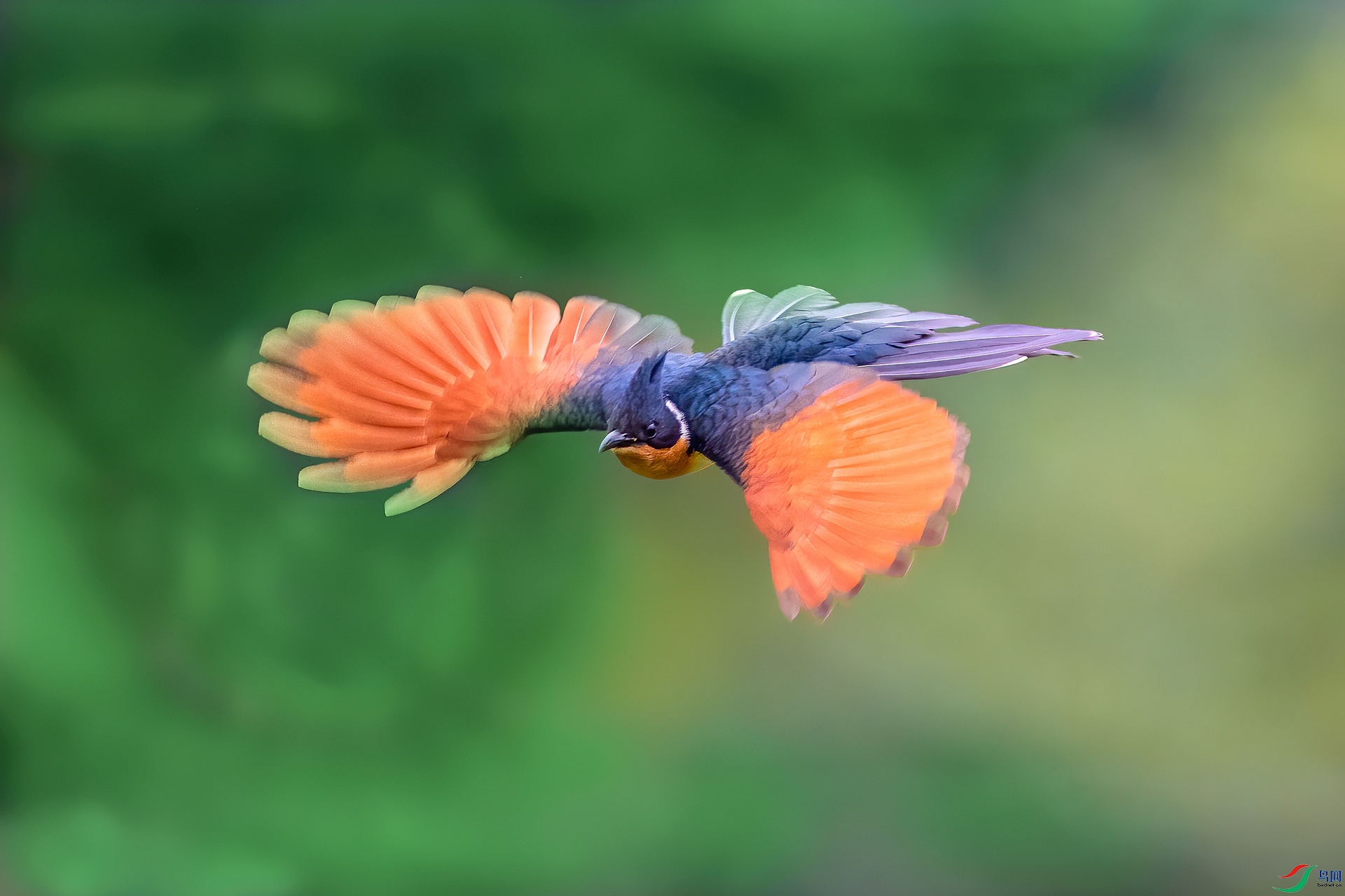 ��ƬDSC_2068.jpg