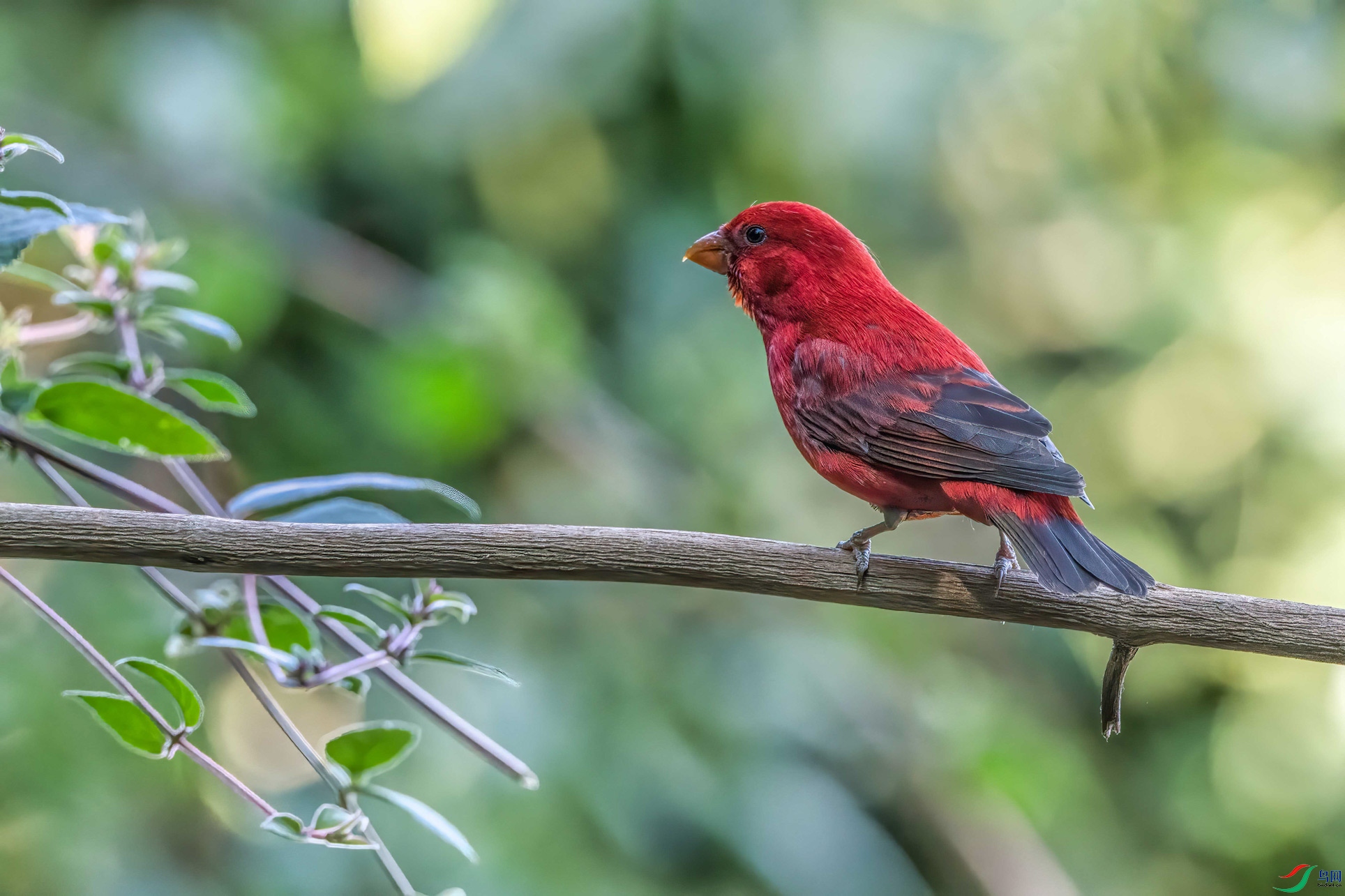 DSC_1038-1.jpg