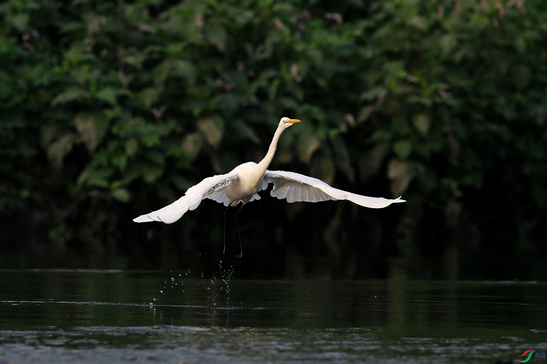 DJ4W2547.JPG�趯�İ���.JPG