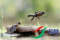 DJ4W04��ȸ��ִ.jpg