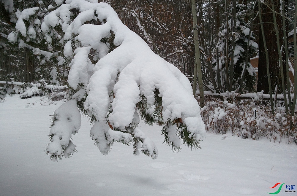 2015-12-25 09.15.16.1.jpg