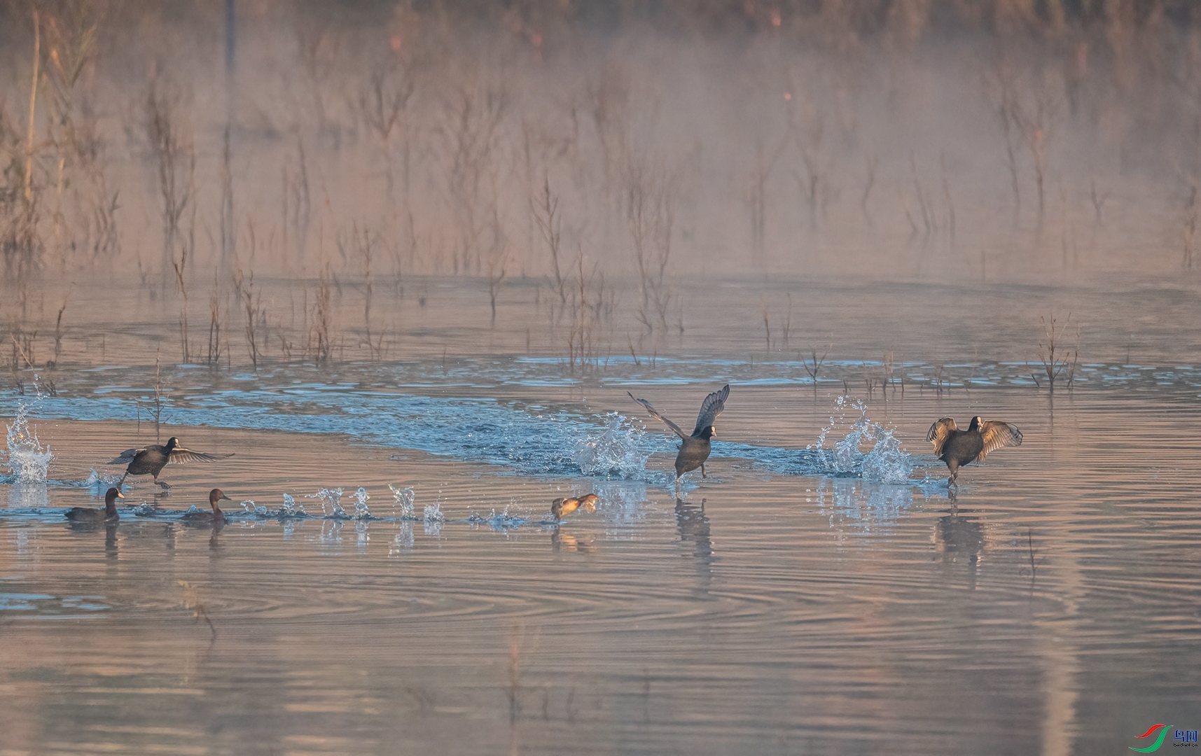 ��ĺ��ɴ�е����