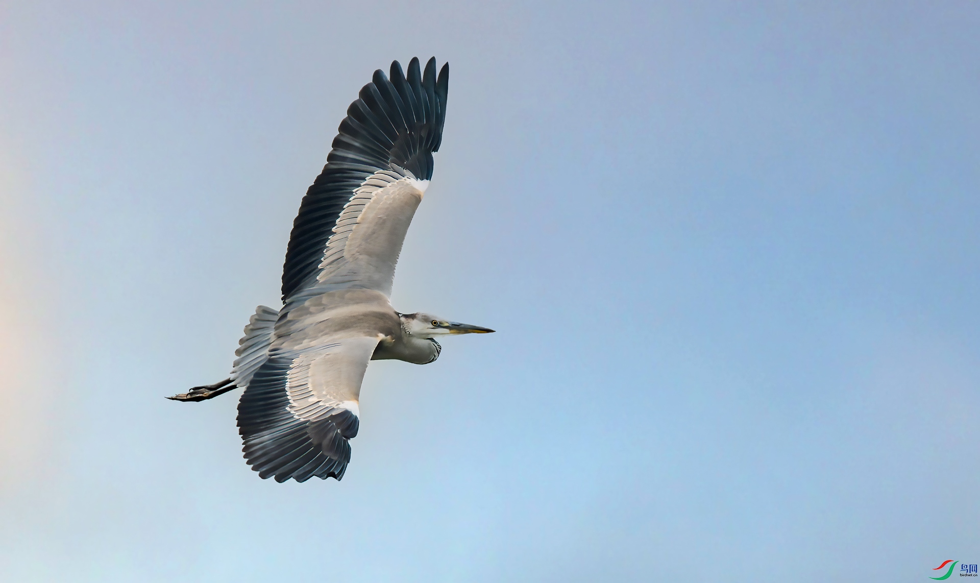 DSC_0800.jpg