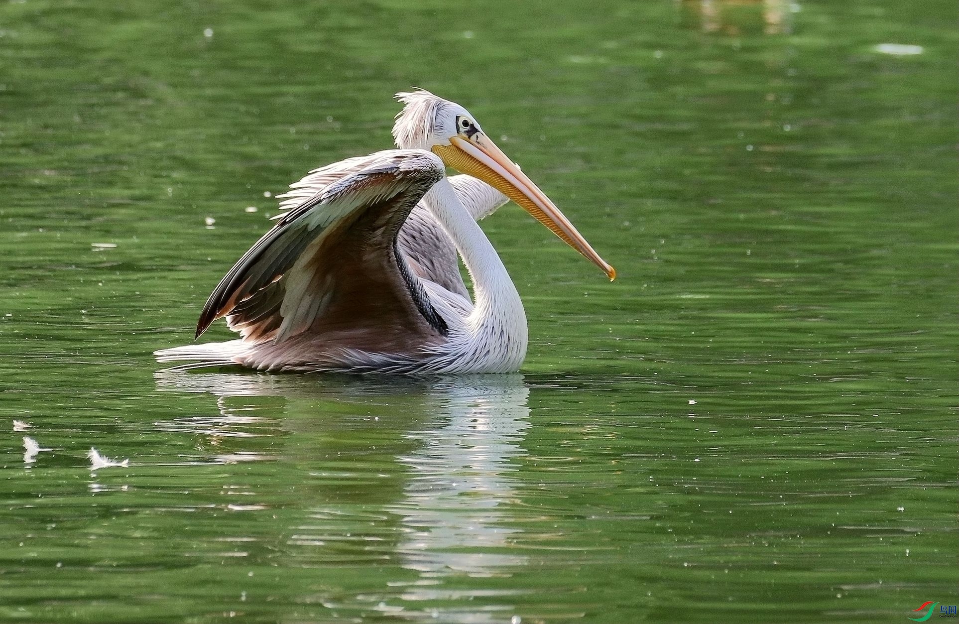 ��ֹ�Ỻ1U4A7589_����.jpg