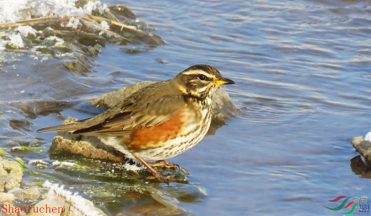 �۸���  ��ʦ���������ɹ����������ױ����и�����.jpg