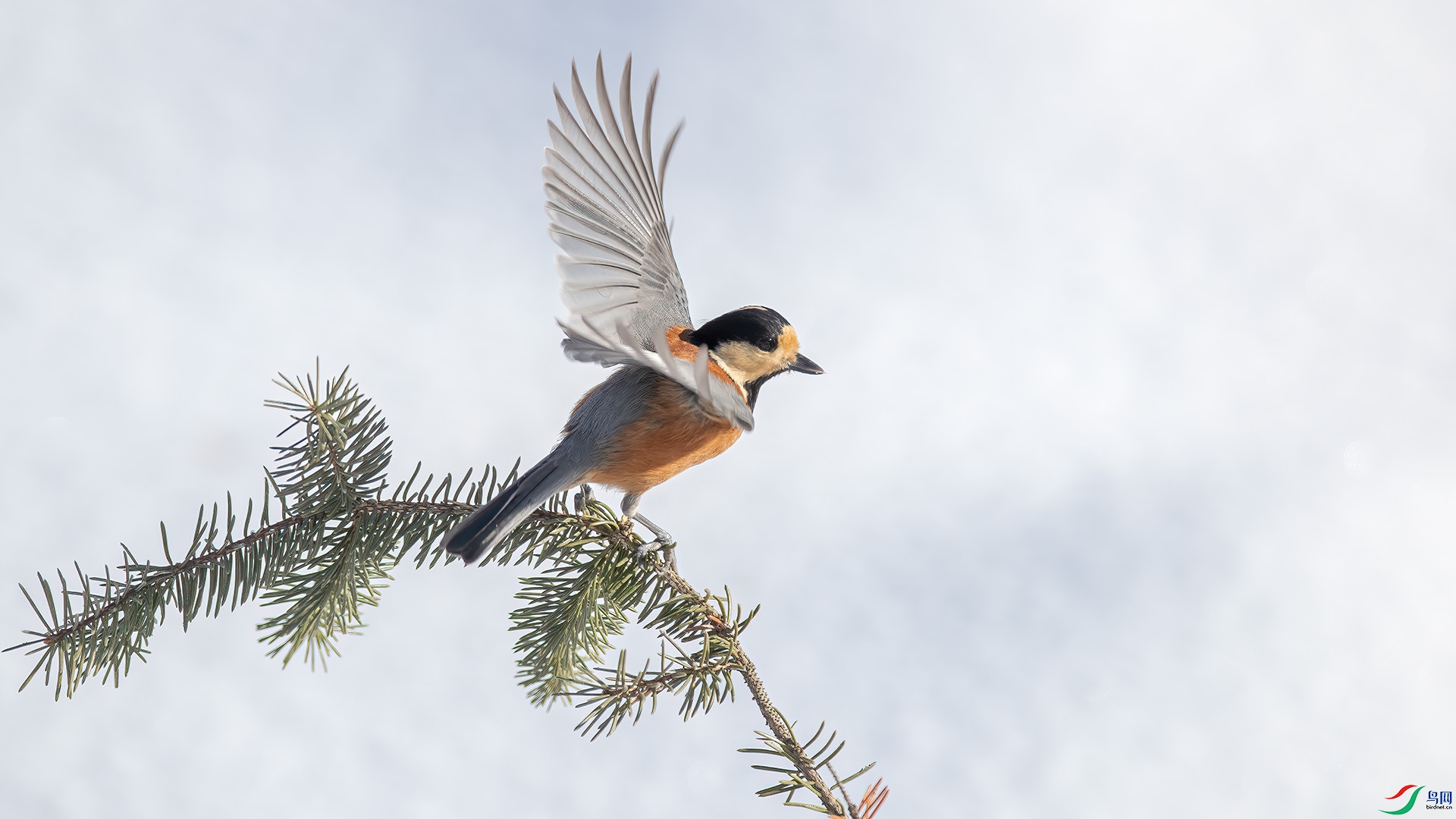 1DX_3792 ���� 2.jpg