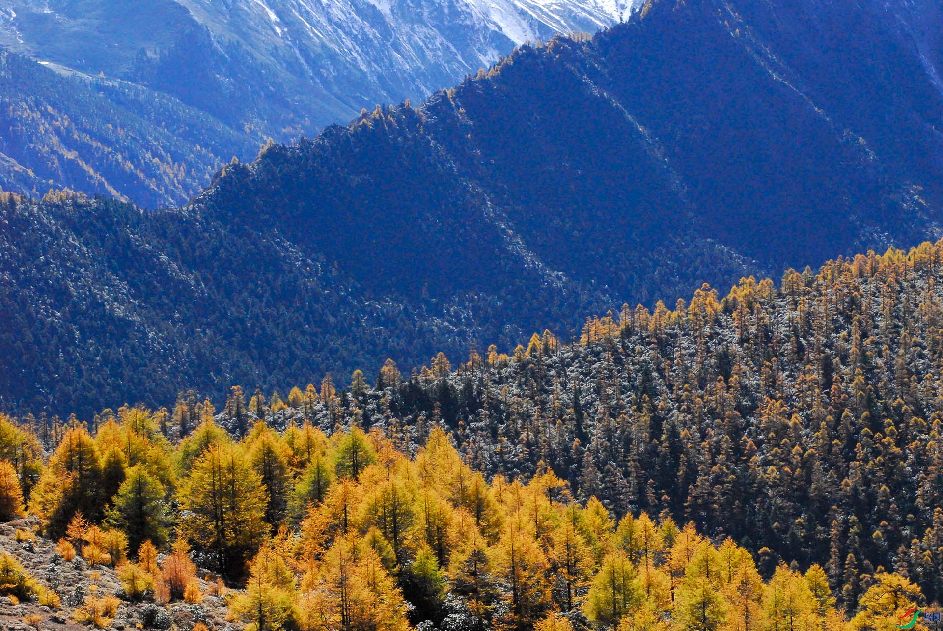 ѩ��-�� -339.jpg