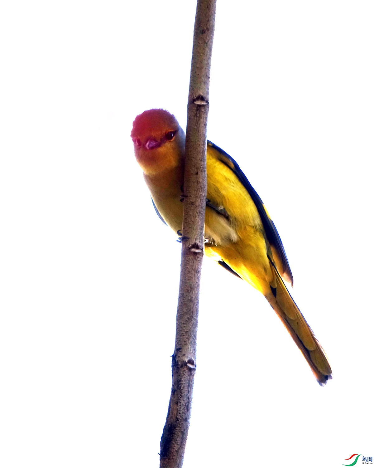 8���ɽ������� (4).JPG