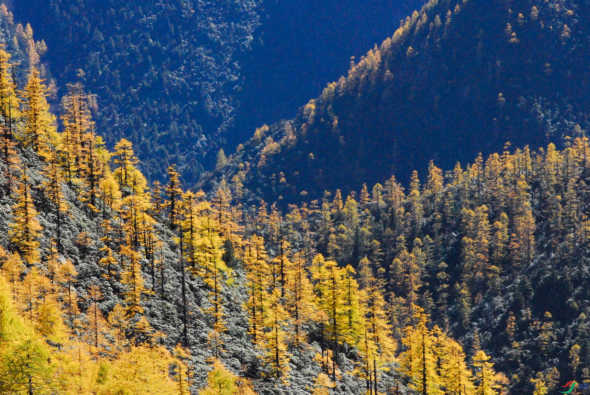 ѩ��-�� -347.jpg