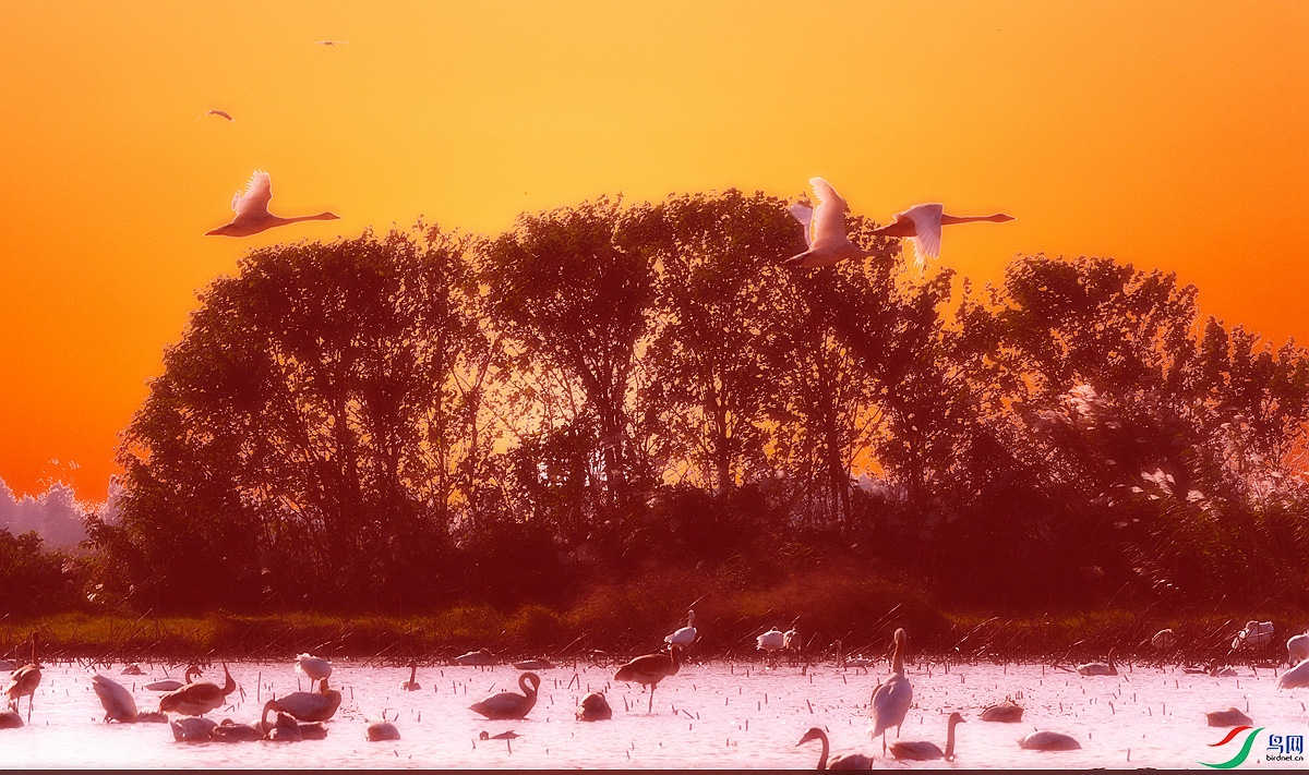 Ϧ������