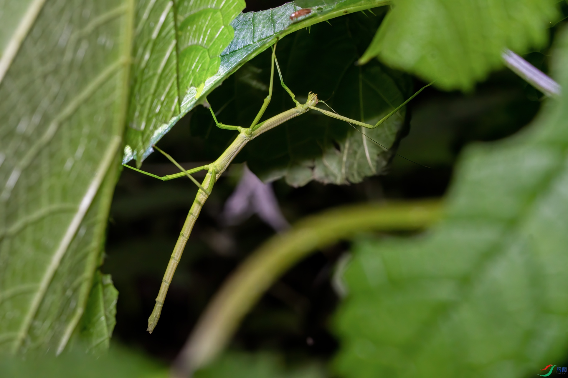 DSC_6225-1.jpg