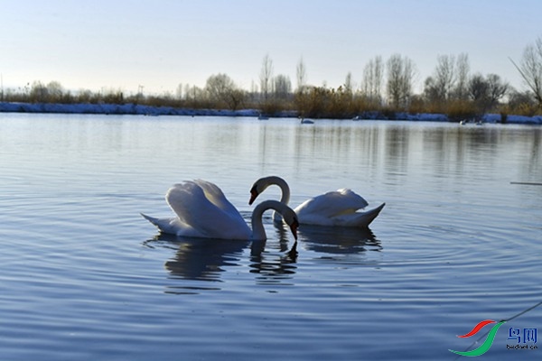 File0000079342.jpg