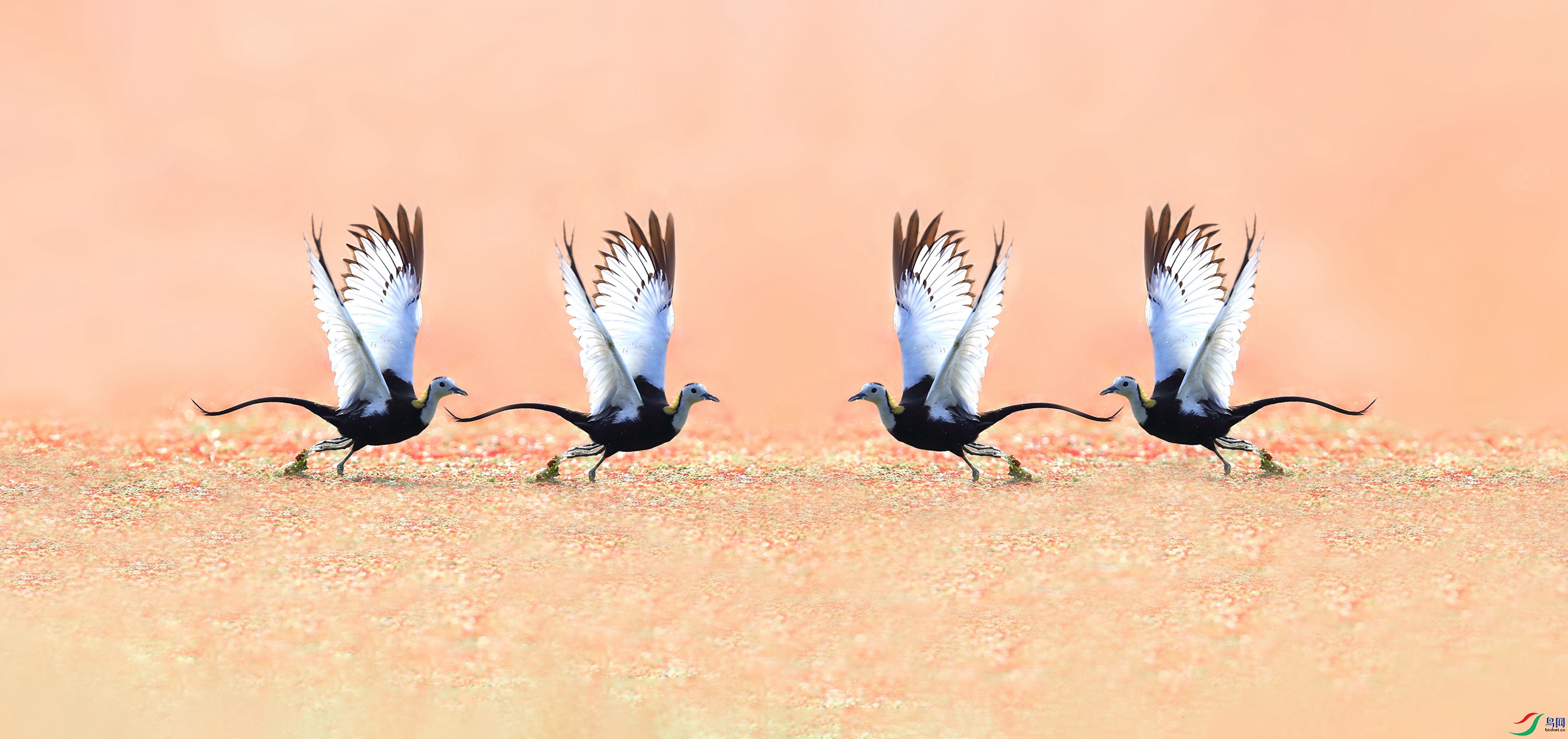 AAU_2739_����.jpg