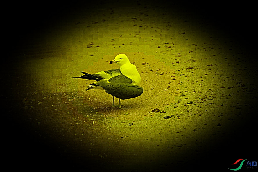 BW6I4268 (2)_����_����.jpg