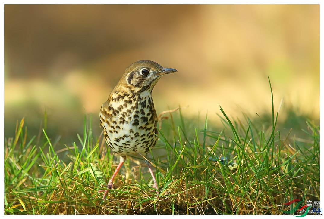 ������  ��ʦ������ɽ��ʡΫ���в�����.jpg