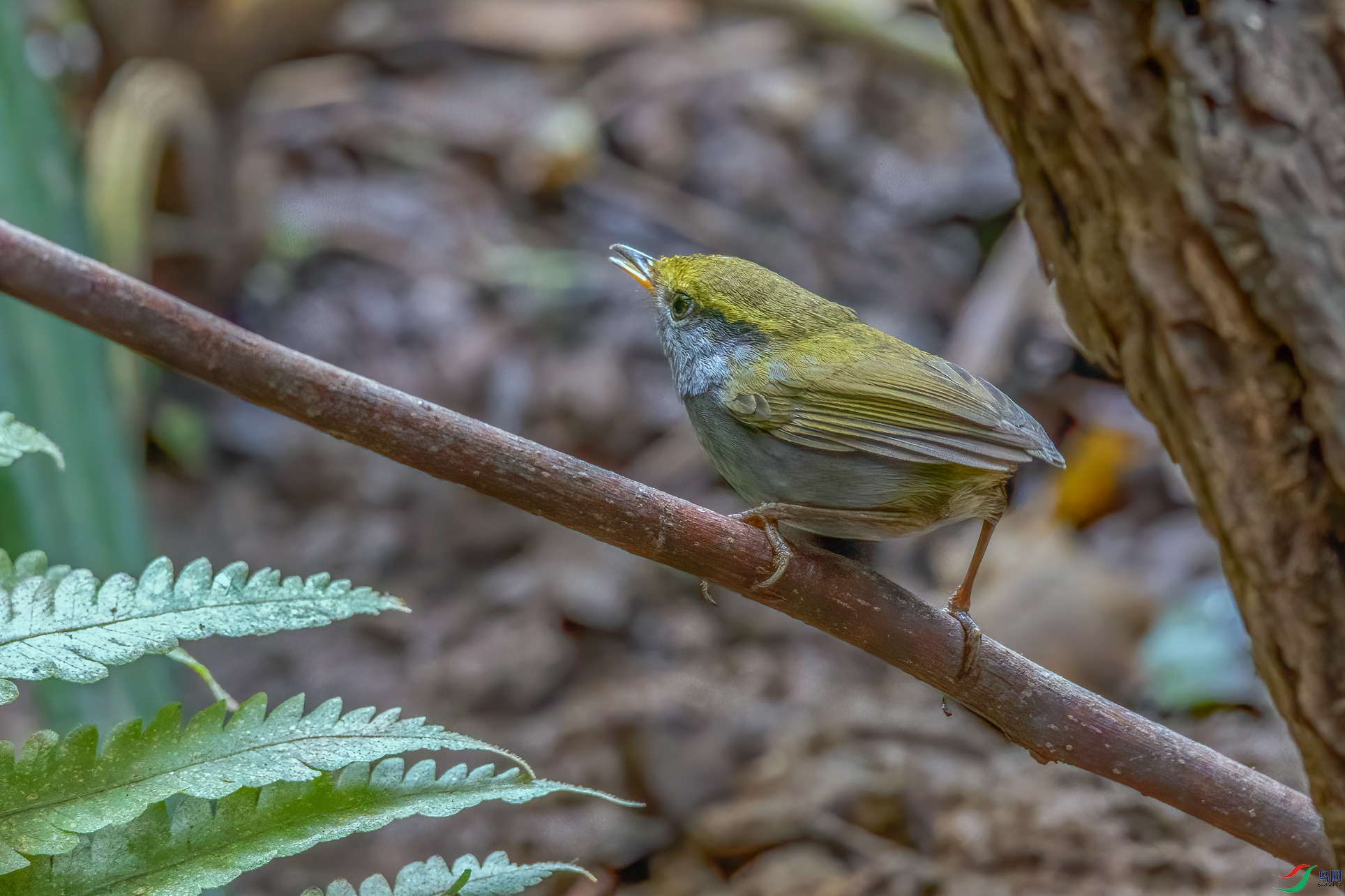 DSC_0502-1.jpg