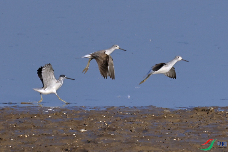 A28A3710-.jpg