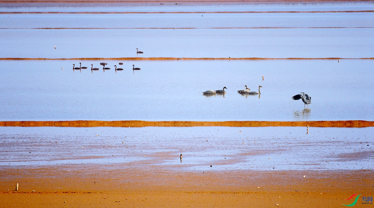 ɳ������