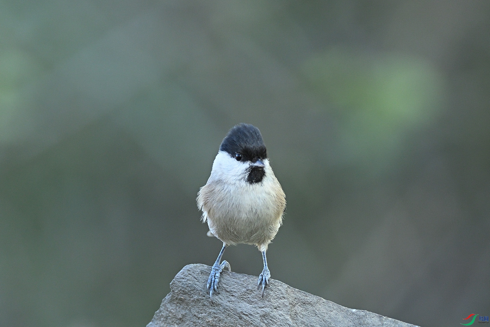 DSC_4126.JPG