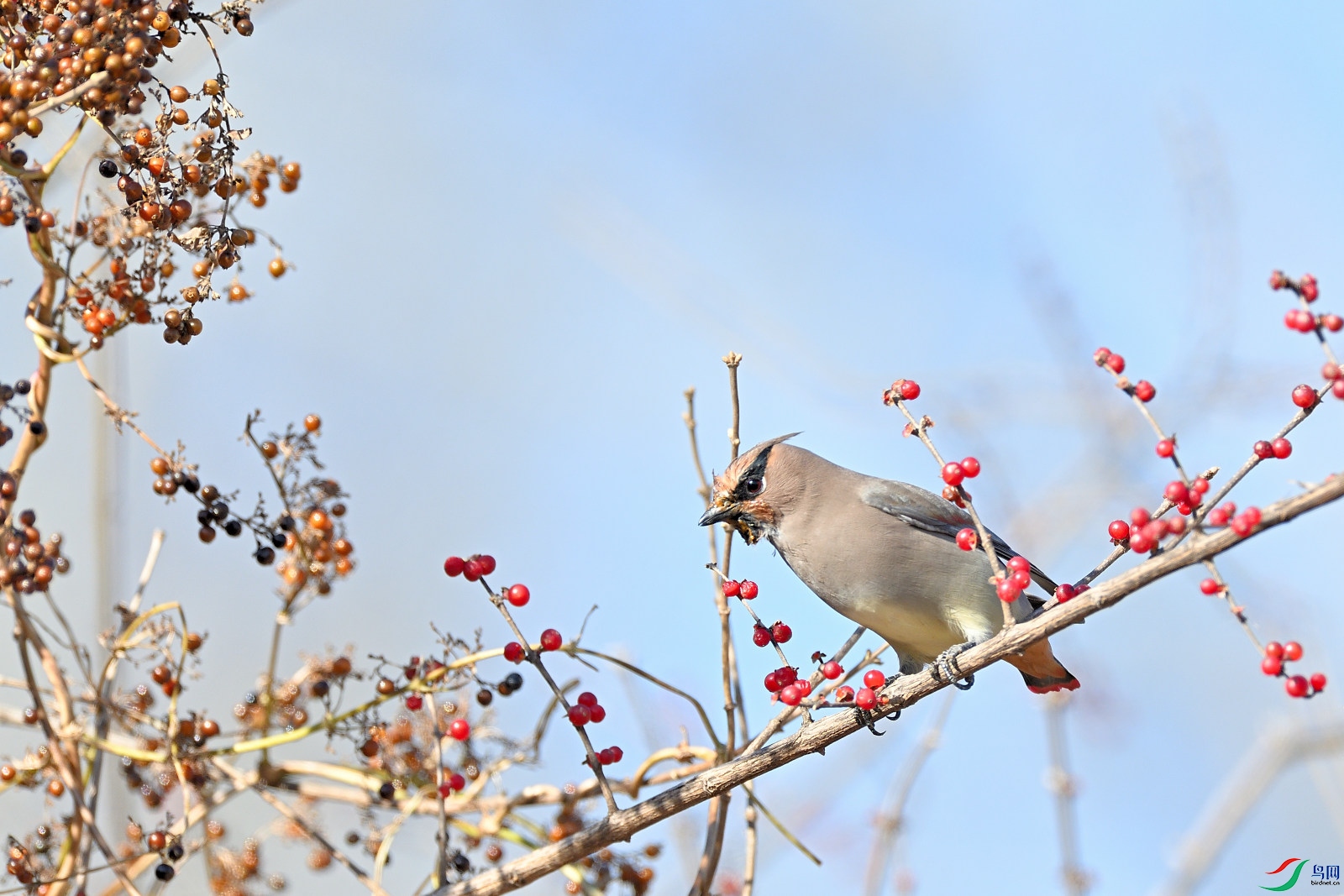 DSC_6028.JPG