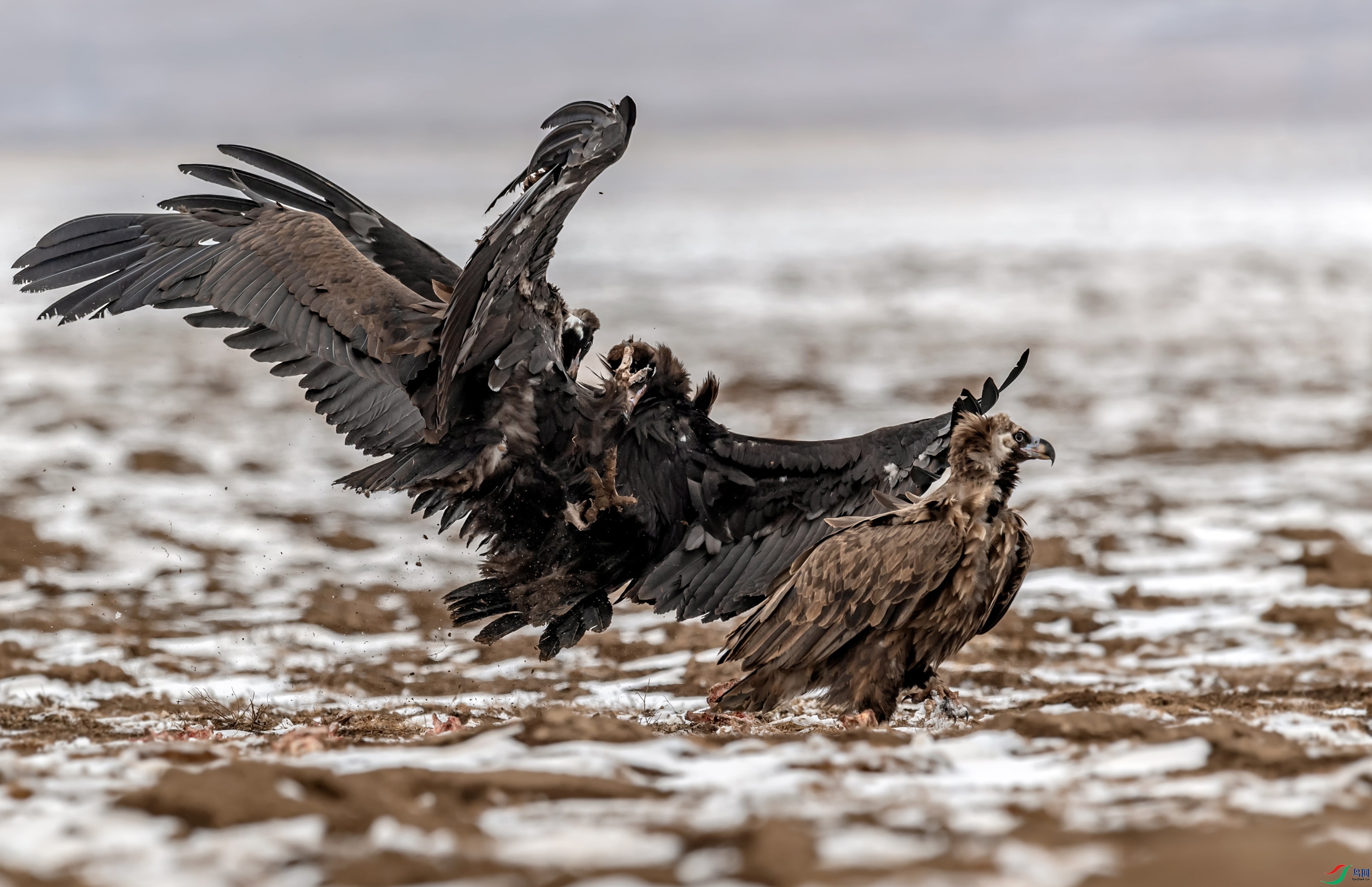 DSC_7329_��ͼ��.jpg-2.jpg