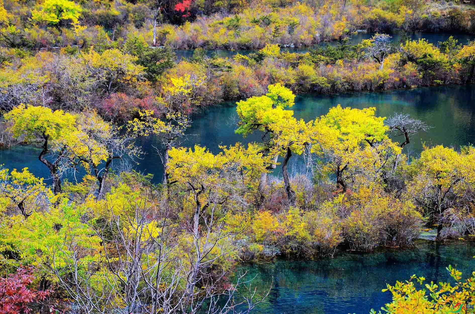 ��կ�� 394.jpg