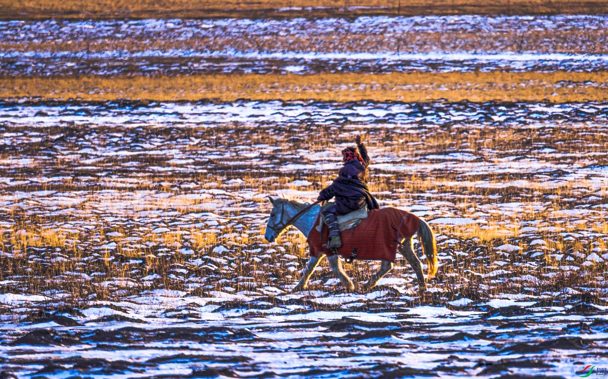 ��ԭ׷����