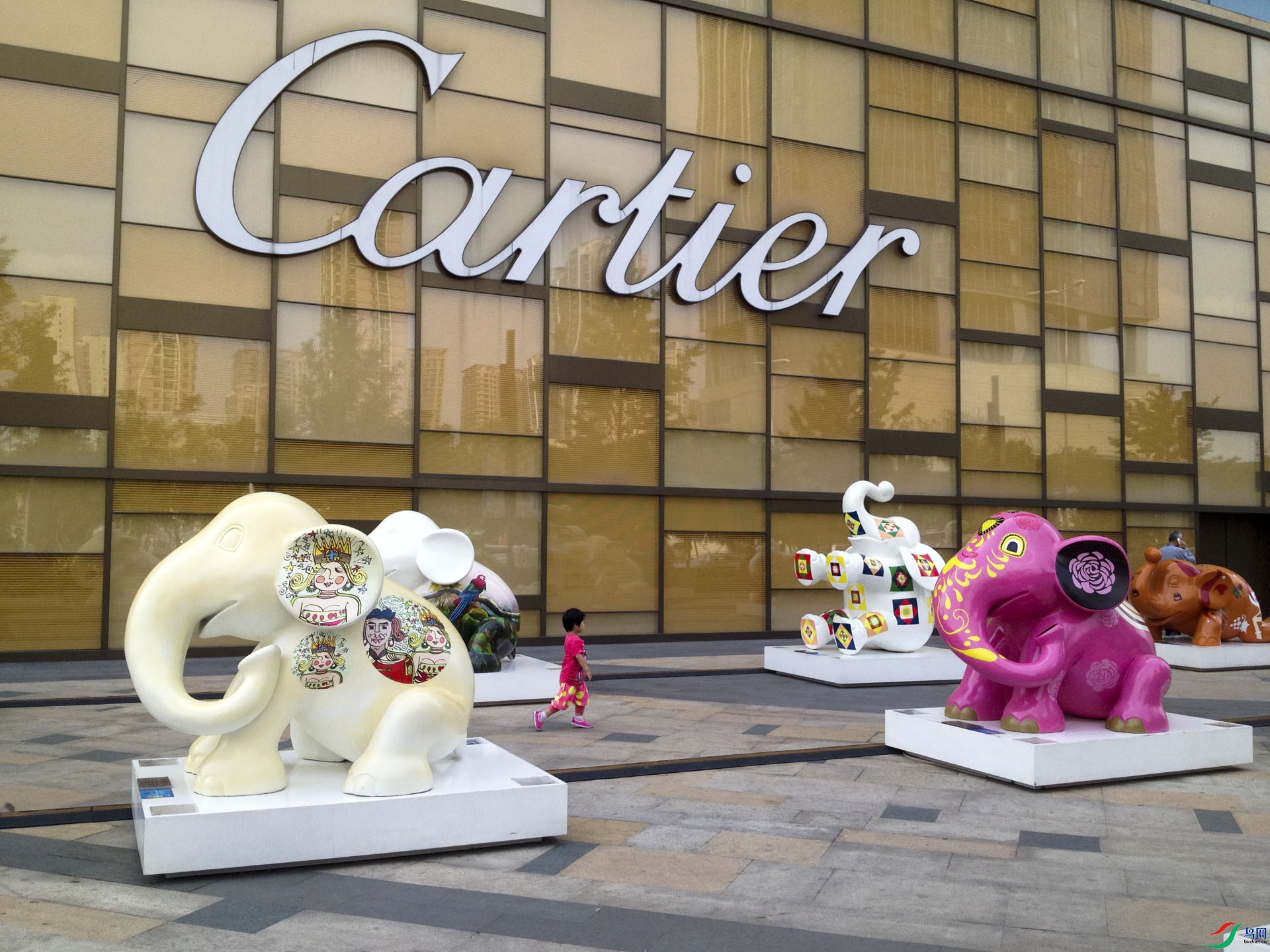 ����� (1).jpg