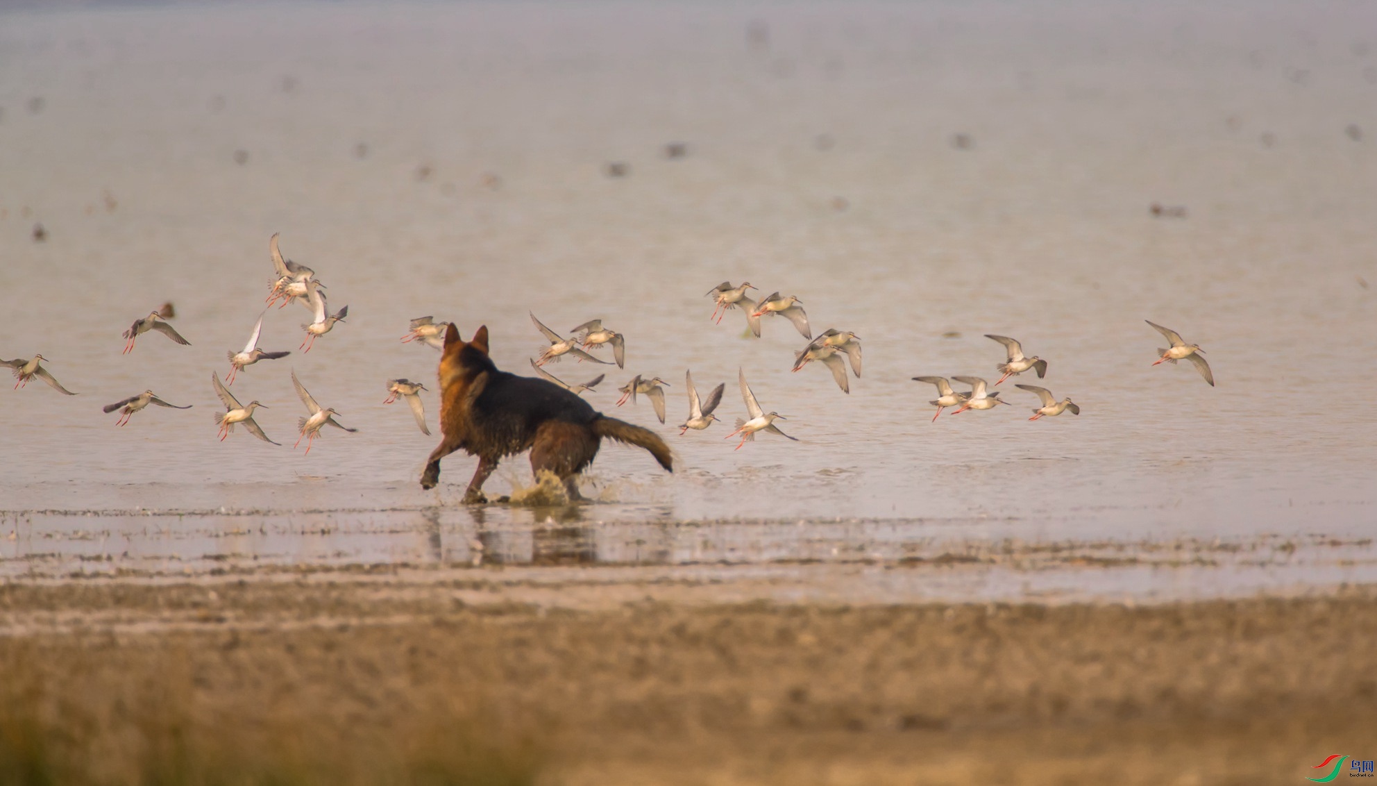 �\�᳤����