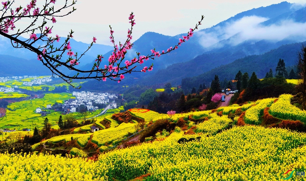 QQͼƬ20210408205621 _.jpg