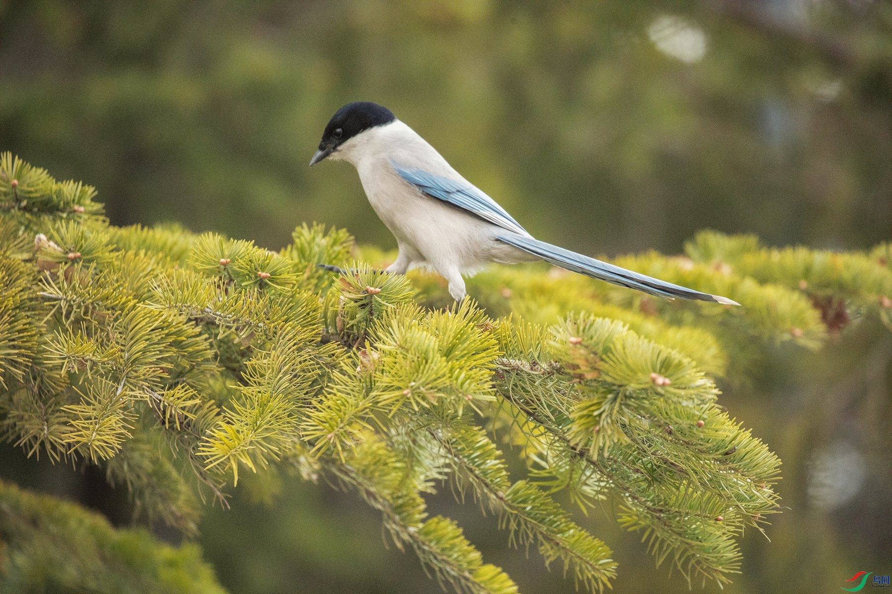 �����ϲ (1)_����_����.jpg