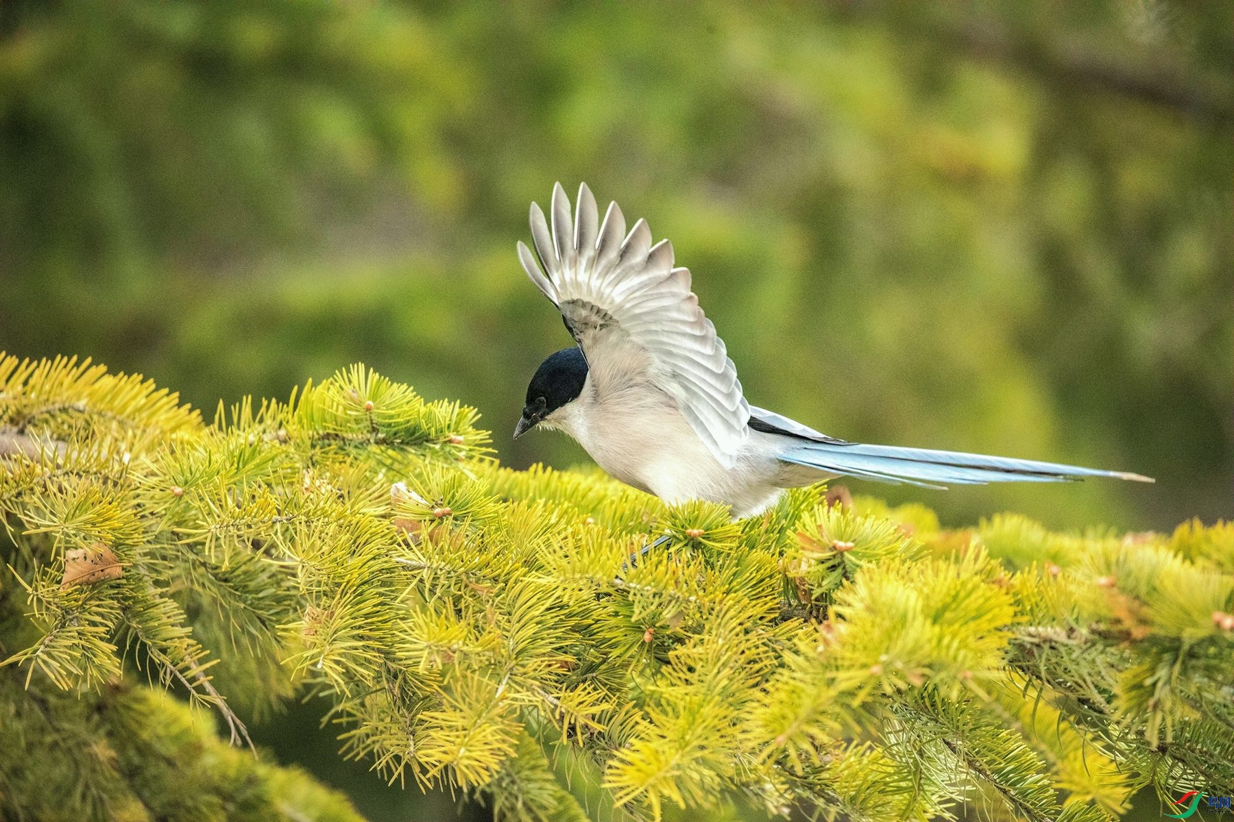 �����ϲ (2)_����_����.jpg