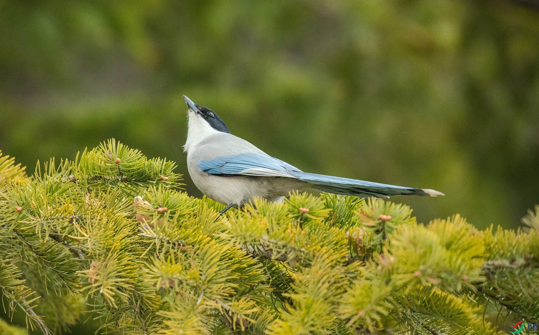 �����ϲ (3)_����_����.jpg